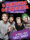 5 Seconds of Summer (100% Unofficial) by Imogen Williams, 9781481443654