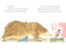 A Birthday for Bear (Candlewick Sparks) by Bonny Becker, Kady MacDonald Denton, 9780763668617