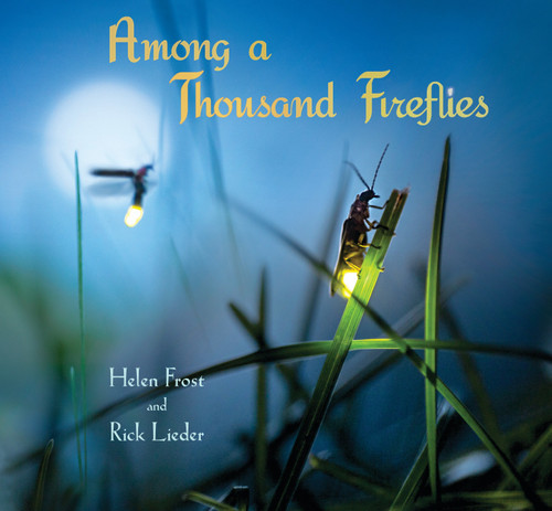 Among a Thousand Fireflies by Helen Frost, Rick Lieder, 9780763676421