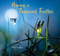 Among a Thousand Fireflies by Helen Frost, Rick Lieder, 9780763676421