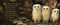 Owl Babies - 9780763679613 by Martin Waddell, Patrick Benson