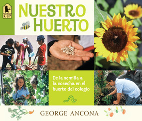 Nuestro huerto (De la semilla a la cosecha en el huerto del colegio) (Spanish Edition) by George Ancona, George Ancona, 9780763687717