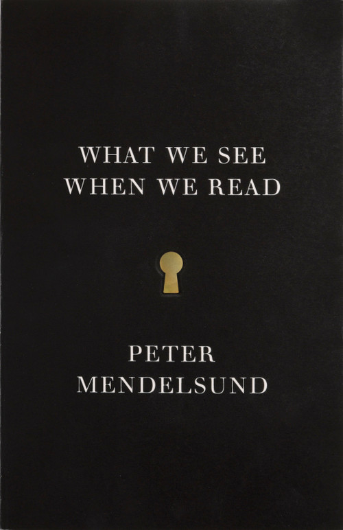 What We See When We Read by Peter Mendelsund, 9780804171632