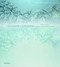 Shadow Catchers: Camera-less Photography by Martin Barnes, 9781858945927