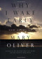 Why I Wake Early (New Poems) - 9780807068793 by Mary Oliver, 9780807068793