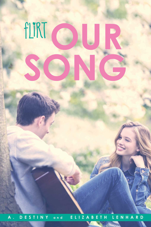 Our Song by A. Destiny, Elizabeth Lenhard, 9781442484061