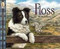 Floss by Kim Lewis, Kim Lewis, 9781564022714