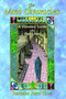 The Mind Chronicles (A Visionary Guide into Past Lives) by Barbara Hand Clow, 9781591430667