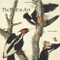 The Bird in Art by Caroline Bugler, 9781858945682