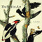 The Bird in Art by Caroline Bugler, 9781858945682