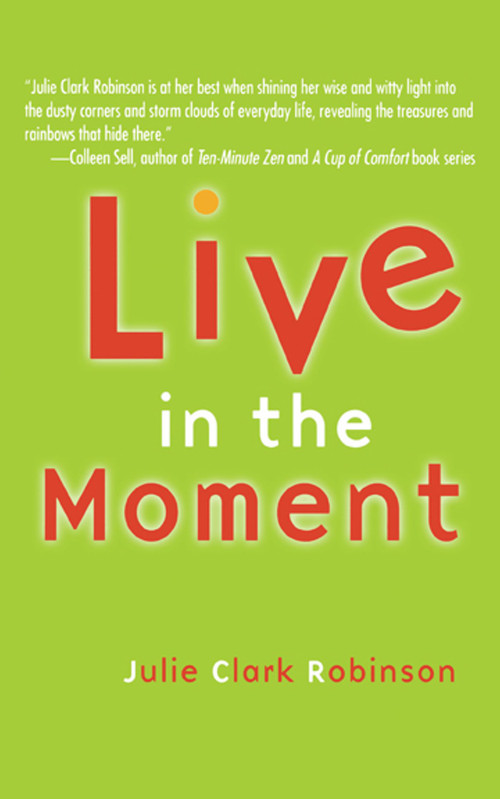 Live In The Moment by Julie Clark Robinson, 9781582701233