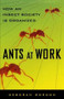 Ants At Work (How An Insect Society Is Organized) by Deborah Gordon, 9781451665703