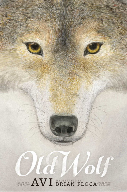 Old Wolf by Avi, Brian Floca, 9781442499218