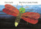 The Very Lonely Firefly by Eric Carle, 9780399227745