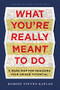 What You're Really Meant to Do (A Road Map for Reaching Your Unique Potential) by Robert S. Kaplan, 9781422189900