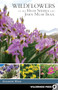 Wildflowers of the High Sierra and John Muir Trail by Elizabeth Wenk, 9780899977386