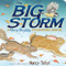 The Big Storm (A Very Soggy Counting Book) - 9781442481794 by Nancy Tafuri, Nancy Tafuri, 9781442481794