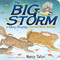 The Big Storm (A Very Soggy Counting Book) - 9781442481794 by Nancy Tafuri, Nancy Tafuri, 9781442481794