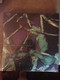 Thornton Dial in the 21st Century by Paul Arnett, Joanne Cubbs, Eugene W. Metcalf Jr., 9780971910430