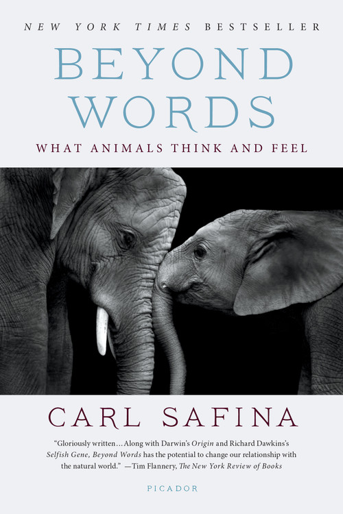 Beyond Words (What Animals Think and Feel) - 9781250094599 by Carl Safina, 9781250094599