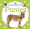 Touch and Feel: Ponies by DK, 9781465409195