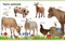 My First Animals by DK, 9781465429018