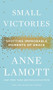 Small Victories (Spotting Improbable Moments of Grace) by Anne Lamott, 9781594486296