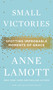 Small Victories (Spotting Improbable Moments of Grace) by Anne Lamott, 9781594486296