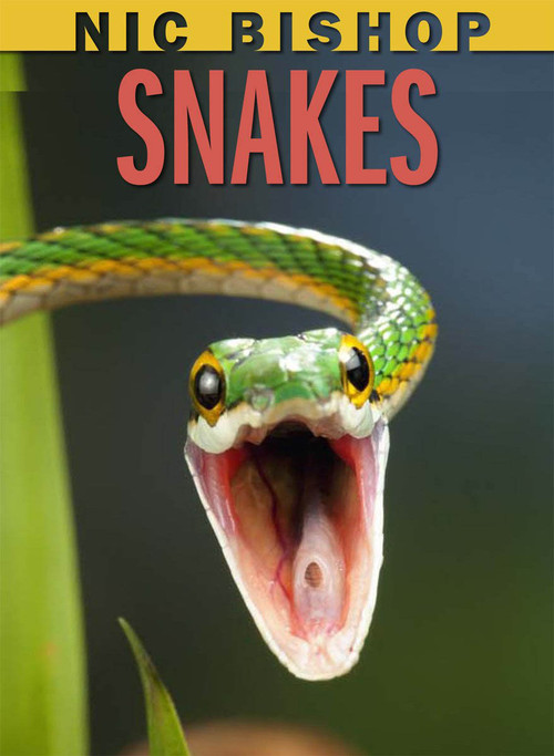 Nic Bishop: Snakes by Nic Bishop, Nic Bishop, 9780545206389