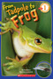 From Tadpole to Frog (Scholastic Reader, Level 1) by Kathleen Weidner Zoehfeld, 9780545273374