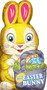 My Easter Bunny! - 9780545371179 by Lily Karr, Jay Johnson, 9780545371179