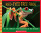 Red-eyed Tree Frog by Joy Cowley, Nic Bishop, 9780439782210