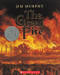 The Great Fire by Jim Murphy, 9780439203074
