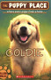 Goldie (Puppy Place #1) by Ellen Miles, 9780439793797