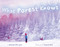What Forest Knows by George Ella Lyon, August Hall, 9781442467750