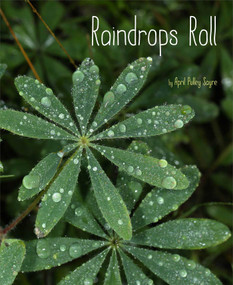Raindrops Roll by April Pulley Sayre, April Pulley Sayre, 9781481420648