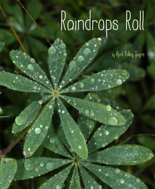Raindrops Roll by April Pulley Sayre, April Pulley Sayre, 9781481420648