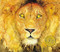 The Lion & the Mouse by Jerry Pinkney, 9780316013567