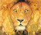 The Lion & the Mouse (Caldecott Medal Winner) by Jerry Pinkney, 9780316013567