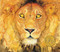 The Lion & the Mouse (Caldecott Medal Winner) by Jerry Pinkney, 9780316013567