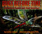 Bugs Before Time (Prehistoric Insects and Their Relatives) by Cathy Camper, Steve Kirk, 9780689820922