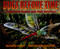 Bugs Before Time (Prehistoric Insects and Their Relatives) by Cathy Camper, Steve Kirk, 9780689820922