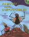 Anansi Does the Impossible! (An Ashanti Tale) by Verna Aardema, Lisa Desimini, 9780689839337