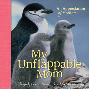 My Unflappable Mom (An Appreciation of Mothers) by Jonathan Chester, Patrick Regan, 9781449421779
