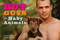 Hot Guys and Baby Animals by Audrey Khuner, Carolyn Newman, 9781449407902