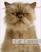 Cat Capers (Catitude for Cat Lovers) by Gandee Vasan, PQ Publishers, Ltd., Ltd., PQ Blackwell,, 9780740778001