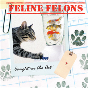 Feline Felons (Caught in the Act) by Debbie Keller, Ariel Books, 9780740757266