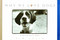 Why We Love Dogs (A Bark & Smile Book) by Kim Levin, John O'Neill, 9780836269710