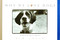 Why We Love Dogs (A Bark & Smile Book) by Kim Levin, John O'Neill, 9780836269710