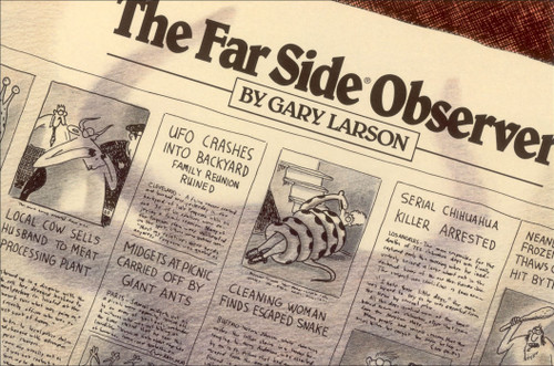 The Far Side® Observer by Gary Larson, 9780836220988